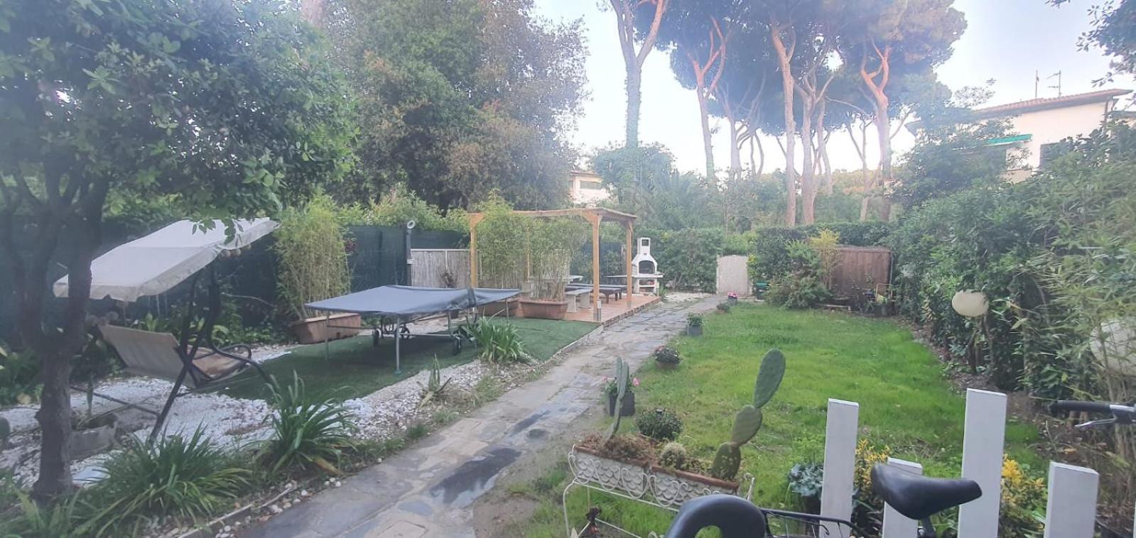 Domusauroom, Relax Nel Cuore Della Versilia - Pet Friendly Viareggio Ngoại thất bức ảnh