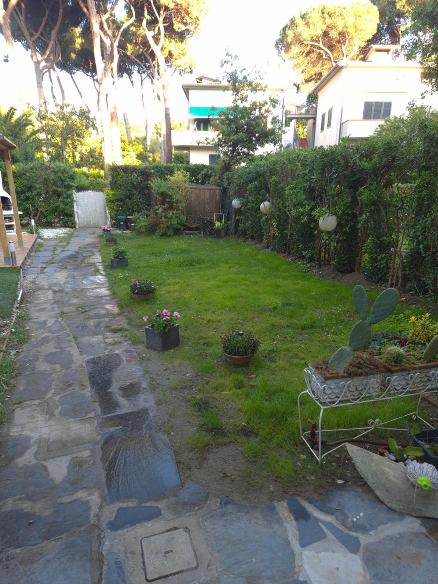 Domusauroom, Relax Nel Cuore Della Versilia - Pet Friendly Viareggio Ngoại thất bức ảnh